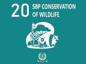 SBP Conservation of Wild
